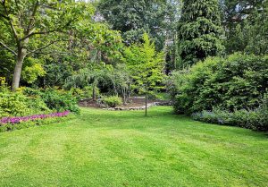 Optimiser l'expérience du jardin à Auger-Saint-Vincent